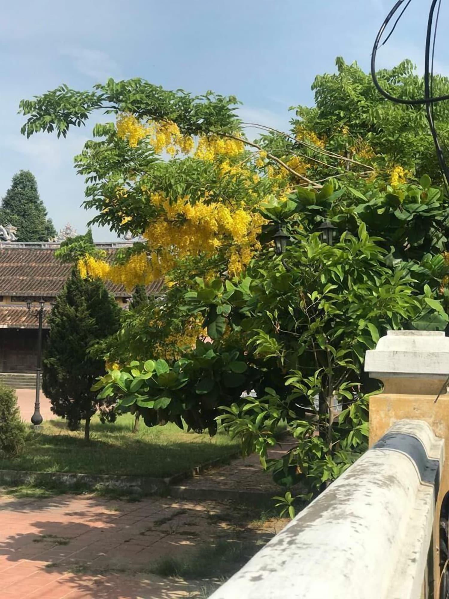 Champa Hoi An Villas Exteriör bild